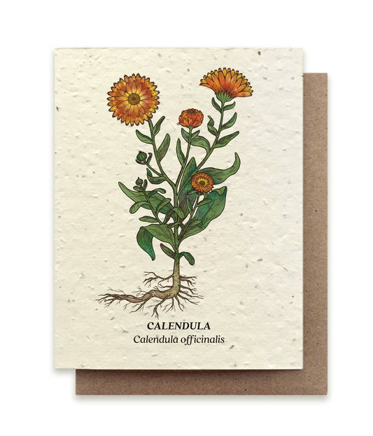 Calendula Plantable Wildflower Seed Card