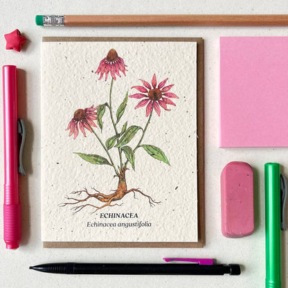 Echinacea Plantable Wildflower Seed Card: No Sleeves