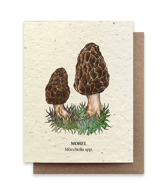 Morel Mushroom Plantable Wildflower Seed Card