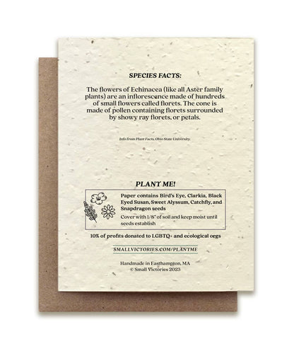 Echinacea Plantable Wildflower Seed Card: No Sleeves